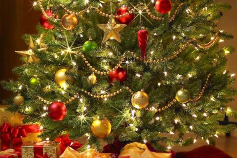 Расписание учебно-тренировочных групп и свободного плавания на январских праздниках (центр г.Видное)