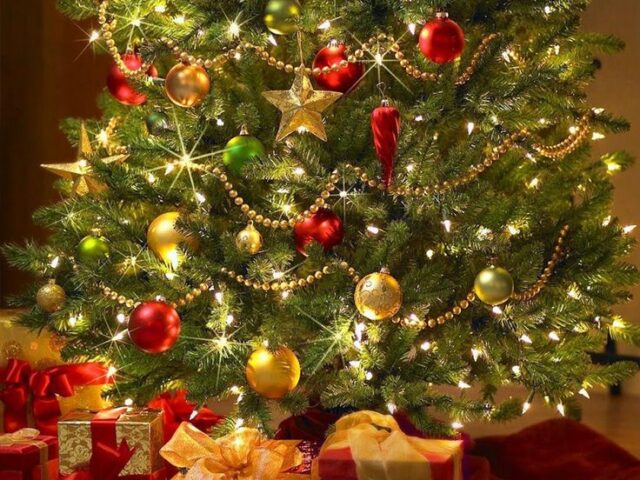 Расписание учебно-тренировочных групп и свободного плавания на январских праздниках (центр г.Видное)